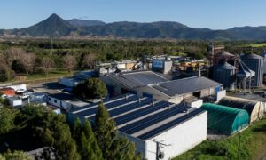 Agrandissement avec de nouveaux locaux à Boulouparis