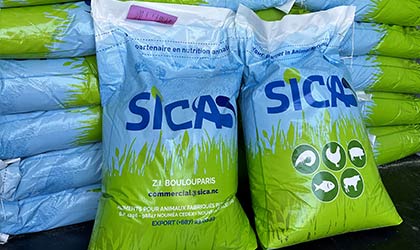 Animal feed for export to Pacifique