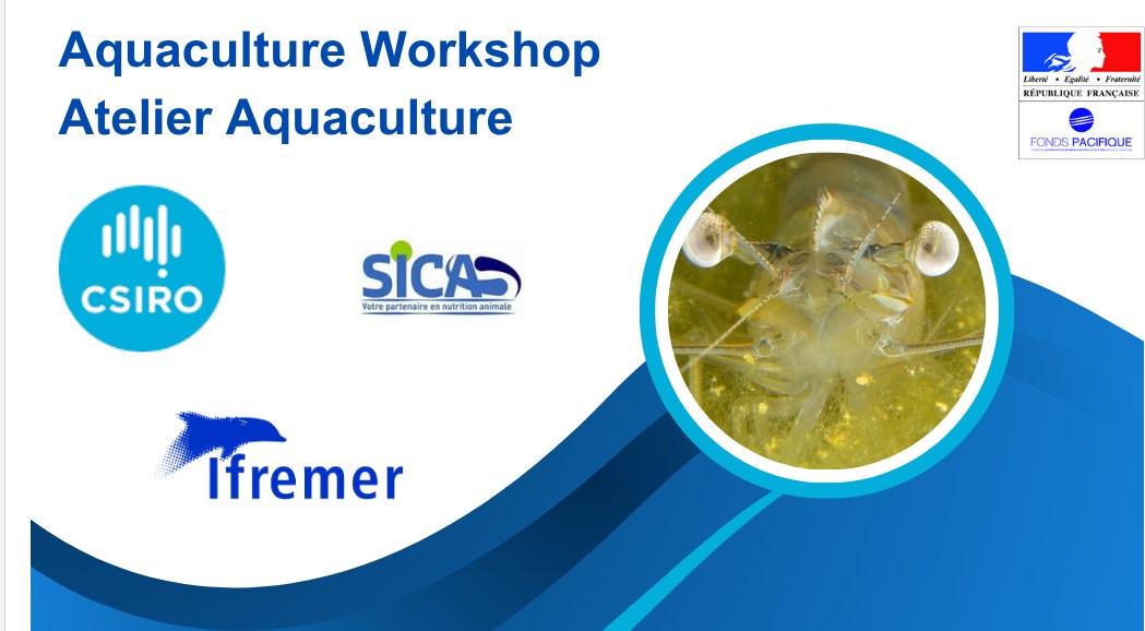 You are currently viewing Participation au Fonds Pacifique Aquaculture Workshop
