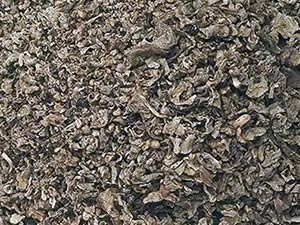 Pulpe de betterave (sur commande)