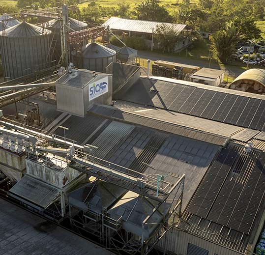 Livestock Feed Producer