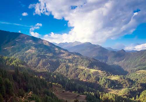 no-deforestation-supply no-deforestation-supply