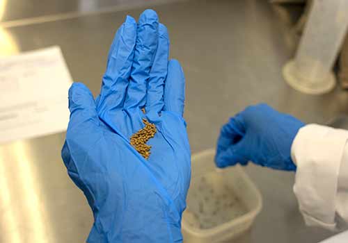 nutritional-performance-livestock nutritional-performance-livestock