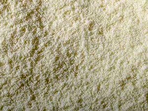 Lait entier en poudre