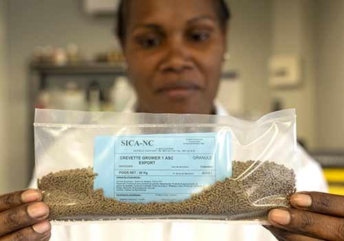 tracking-traceability-feed-materials tracking-traceability-feed-materials