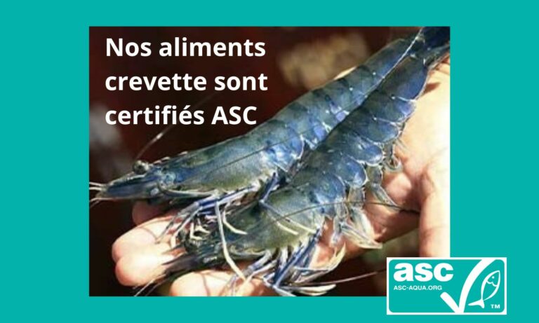 Lire la suite à propos de l’article Certification ASC obtenue pour nos aliments crevette